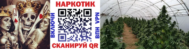 Где найти наркотики Мариинский Посад Alpha PVP Cocaine ГАШИШ Канабис