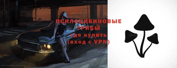 гидра Балахна